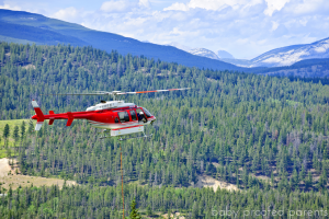 free range helicopter parenting